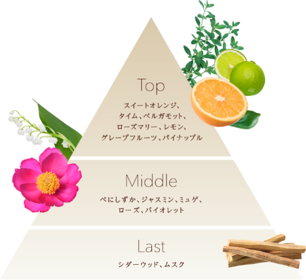 Top：スイートオレンジ、タイム、ベルガモット、ローズマリー、レモン、グレープフルーツ、パイナップル　Middle：べにしずか、ジャスミン、ミュゲ、ローズ、バイオレット　Last：シダーウッド、ムスク