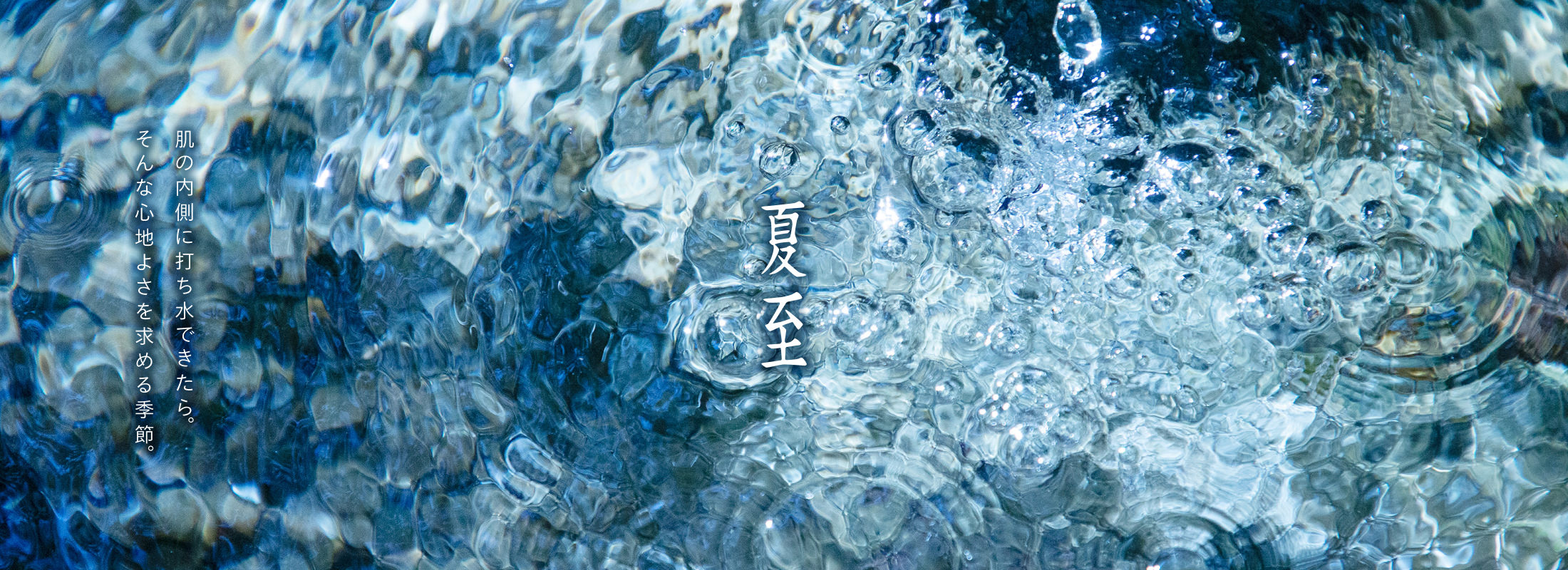 SHISEIDO フューチャーソリューション LX｜キャンペーン｜資生堂