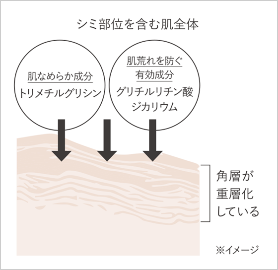 有効成分