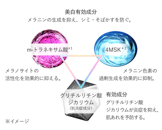 成分図解