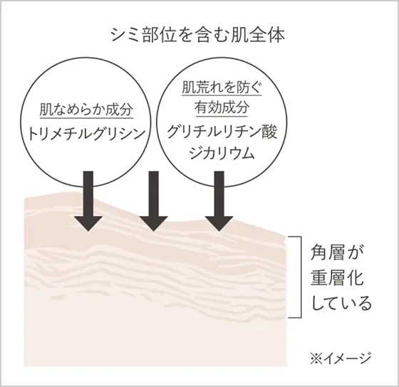 有効成分