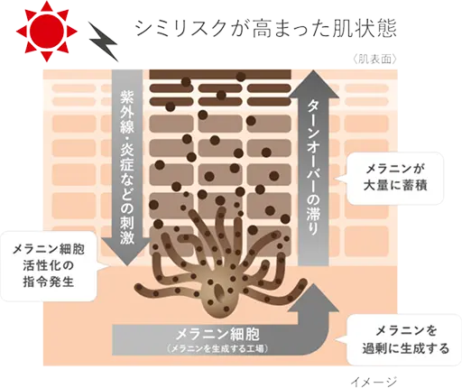 有効成分
