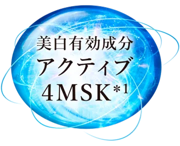 アクティブ4MSK成分説明図
