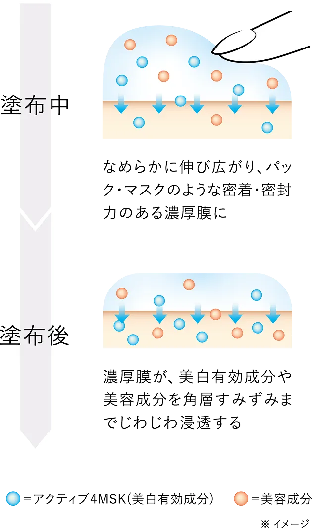 新処方「機能型 濃厚膜」説明図