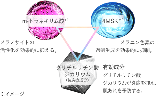 m-トラネキサム酸＊1 メラノサイトの活性化を効果的に抑える。 4MSK＊2 メラニン色素の過剰生成を効果的に抑制。 グリチルリチン酸ジカリウム（抗炎症成分）有効成分グリチルリチン酸ジカリウムが炎症を抑え、肌あれを予防する。 ※イメージ