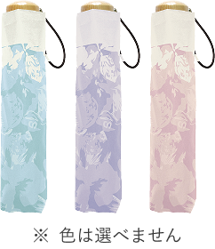 ※色は選べません