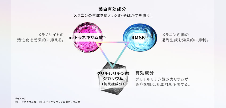 美白有効成分：メラニンの生成を抑え、シミ・そばかすを防ぐ。【m-トラネキサム酸：メラノサイトの活性化を効果的に抑える。】【4MSK：メラニン色素の過剰生成を効果的に抑制。】【グリチルリチン酸ジカリウム（抗炎症成分）】有効成分グリチルリチン酸ジカリウムが炎症を抑え、肌あれを予防する。