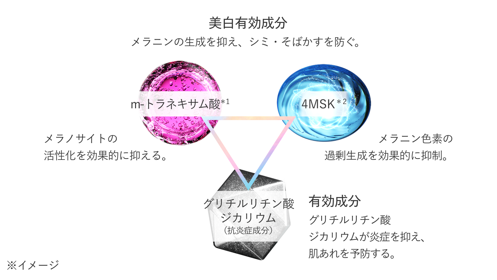 有効成分：グリチルリチン酸ジカリウムが炎症を抑え、肌あれを予防する。m- トラネキサム酸*2：メラノサイトの活性化を効果的に抑える。4MSK*1：メラニン色素の過剰生成を効果的に抑制。美白有効成分：メラニンの生成を抑え、シミ・そばかすを防ぐ。