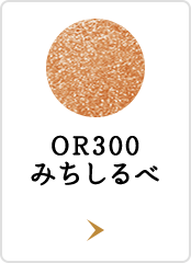 OR300 みちしるべ