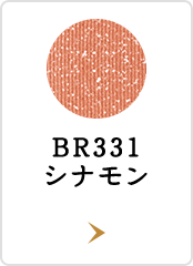 BR331 シナモン