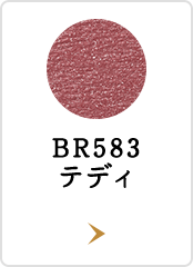 BR583 テディ