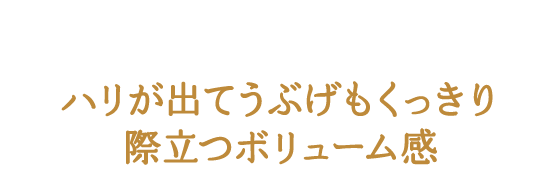 ハリが出てうぶげもくっきり 際立つボリューム感