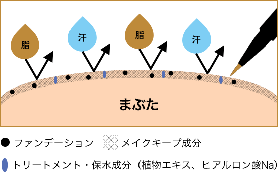 まぶた「ファンデーション」「メイクキープ成分」「トリートメント・保水成分（植物エキス、ヒアルロン酸Na）」