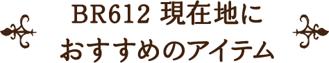 BR612 現在地に おすすめのアイテム