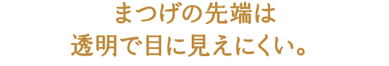 まつげの先端は透明で目に見えにくい。