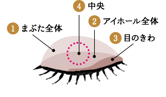 まぶた全体 中央 アイホール全体 目のきわ