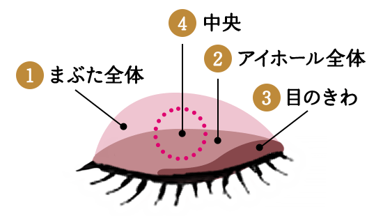 まぶた全体 中央 アイホール全体 目のきわ