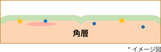 * イメージ図