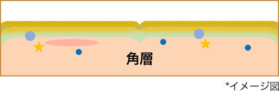 * イメージ図