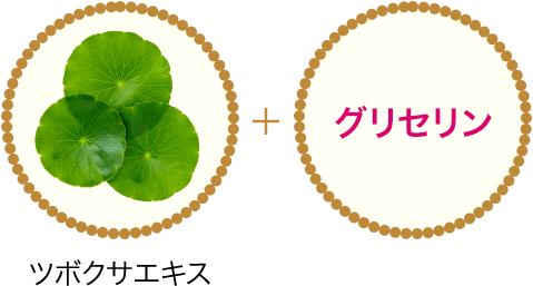 ツボクサエキス