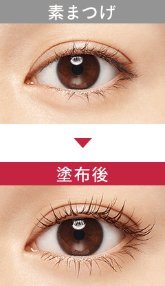商品画像 素まつげ 塗布後