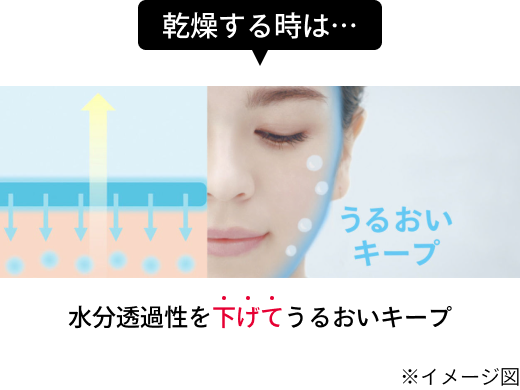 水分透過性を下げてうるおいキープ ※イメージ図 width=