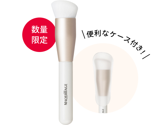 数量限定 便利なケース付き