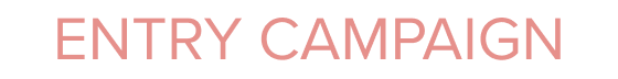 ENTRY CAMPAIGN