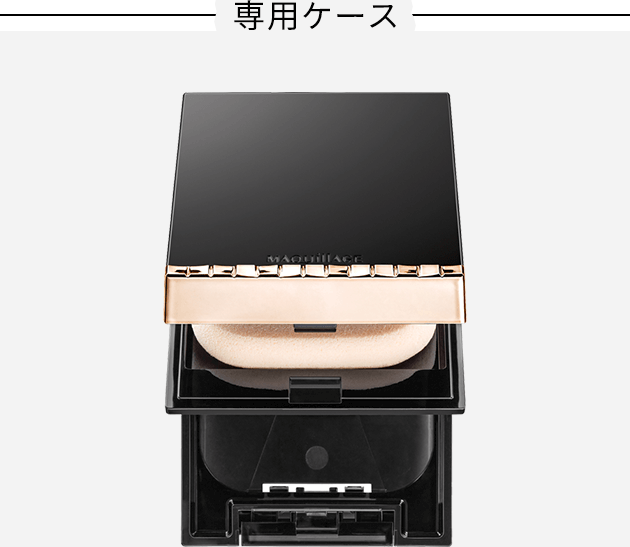 専用ケース