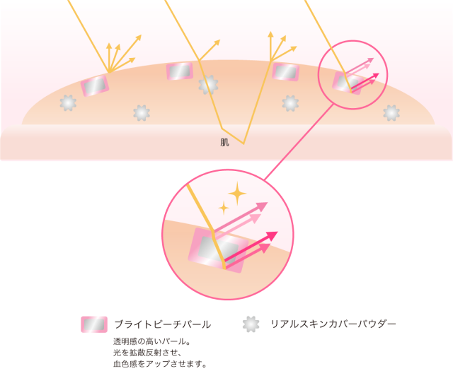 イメージ画像