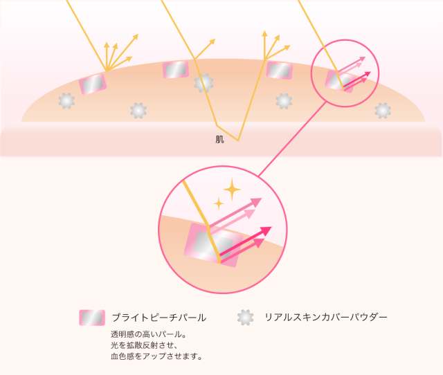 ブライトピーチパール 透明感の高いパール。光を拡散反射させ、血色感をアップさせます。 リアルスキンカバーパウダー