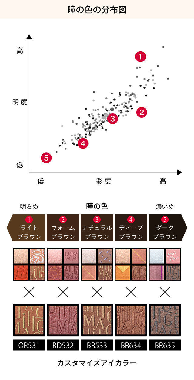 瞳の色の分布図