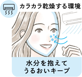 カラカラ乾燥する環境 水分を抱えてうるおいキープ