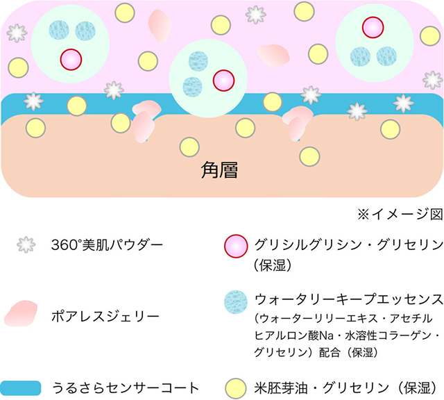 角層のイメージ図