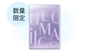 数量限定