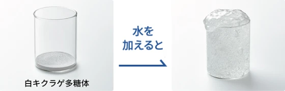 イメージ図