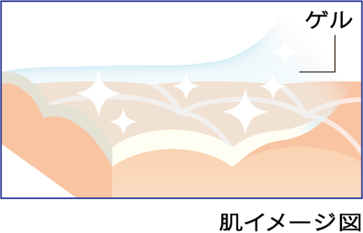 肌イメージ図