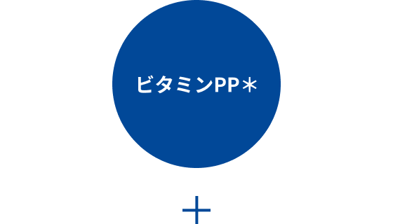 ビタミンPP＊　＋