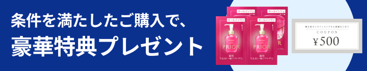条件を満たしたご購入で、豪華特典プレゼント