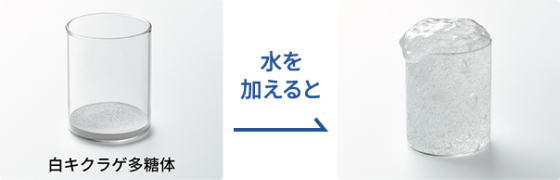 シロキクラゲ多糖体に水を加えたイメージ