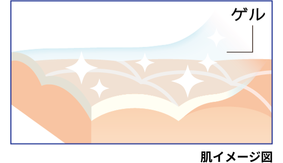 肌イメージ図