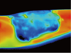 サーモグラフィー写真