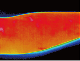 サーモグラフィー写真