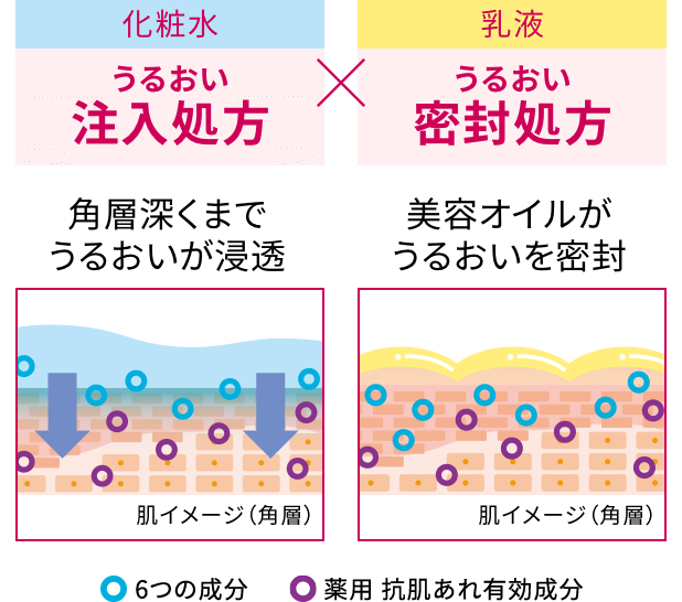 化粧水 うるおい注入処方 乳液 うるおい密封処方 角層深くまでうるおいが浸透 美容オイルがうるおいを密封 6つの成分 薬用 抗肌あれ有効成分