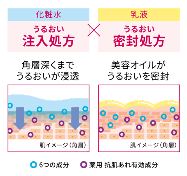 化粧水 うるおい注入処方 乳液 うるおい密封処方