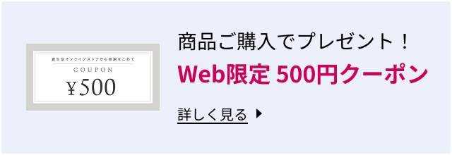 商品ご購入でプレゼント！Web限定 500円クーポン 詳しく見る