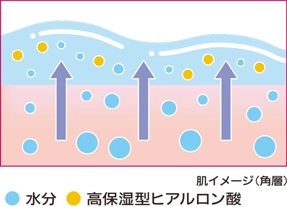 肌イメージ（角層）のイラスト