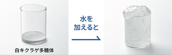 白キクラゲ多糖体 水を加えると