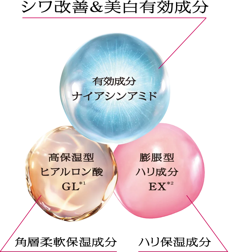 シワ改善＆美白有効成分