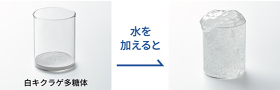 白キクラゲ多糖体　水を加えると→　イメージ図